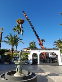 CAMI&Oacute;N PLUMA PALMERA BENAHAV&Iacute;S