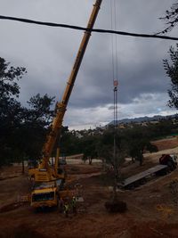 GR&Uacute;A M&Oacute;VIL CON PALMERA EN MARBELLA