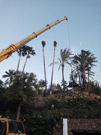 GR&Uacute;A M&Oacute;VIL SACANDO M&Aacute;QUINA EN MARBELLA